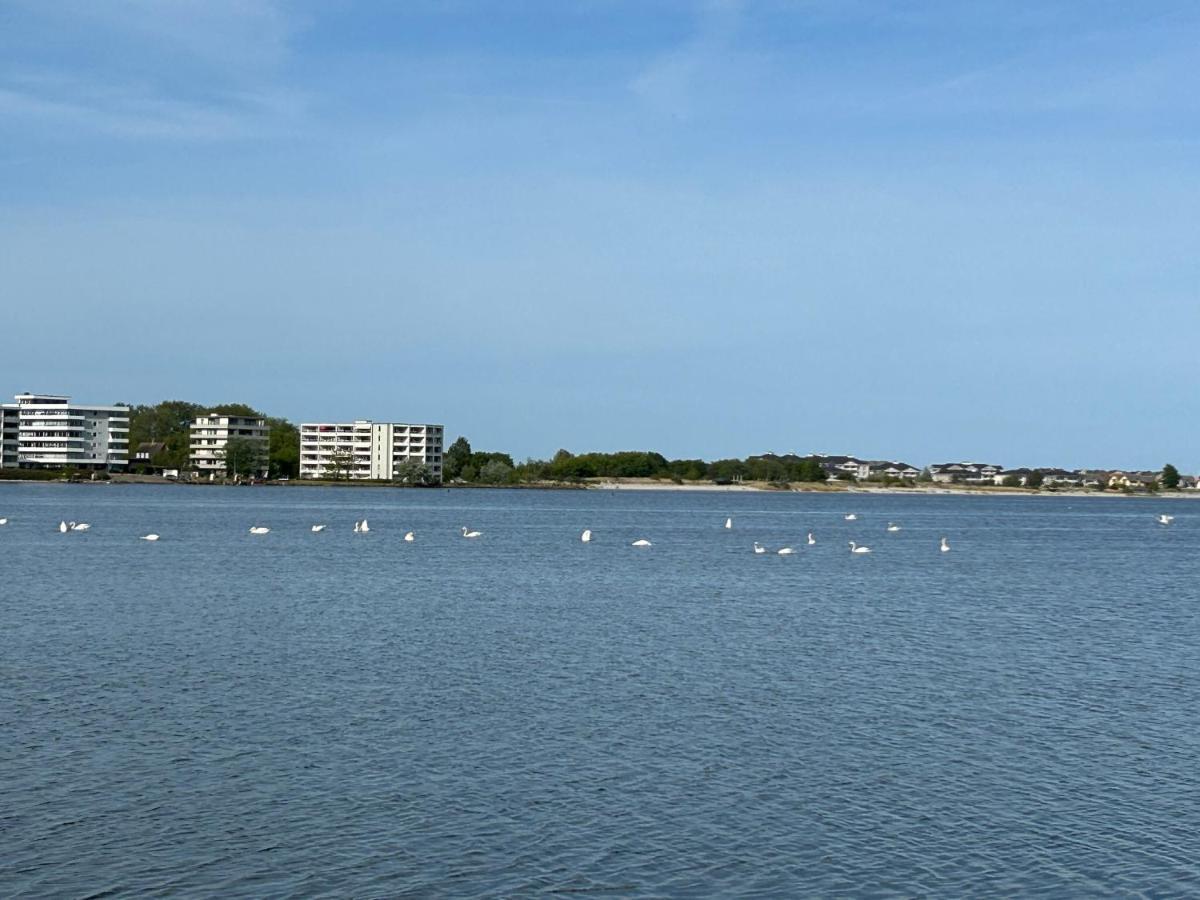 Wasserblick, In 3 Min Am Strand Heiligenhafen Exteriör bild